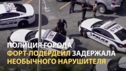 Как спасли кенгуру по кличке Скиппи