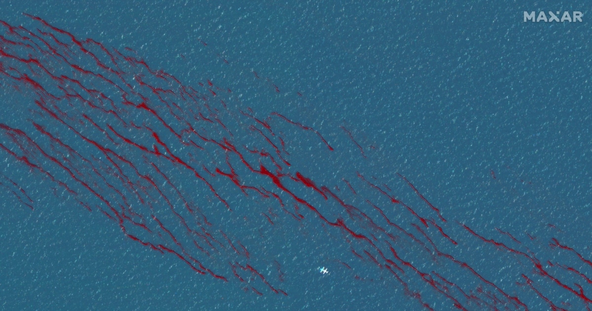 d8df3bb2-881e-4838-a3c4-