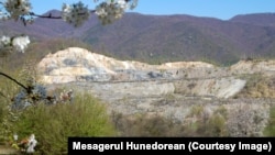 Proiectul Certej este gândit ca unul de exploatare în carieră deschisă. Față de forma inițială, a fost eliminată procedura cianurării.