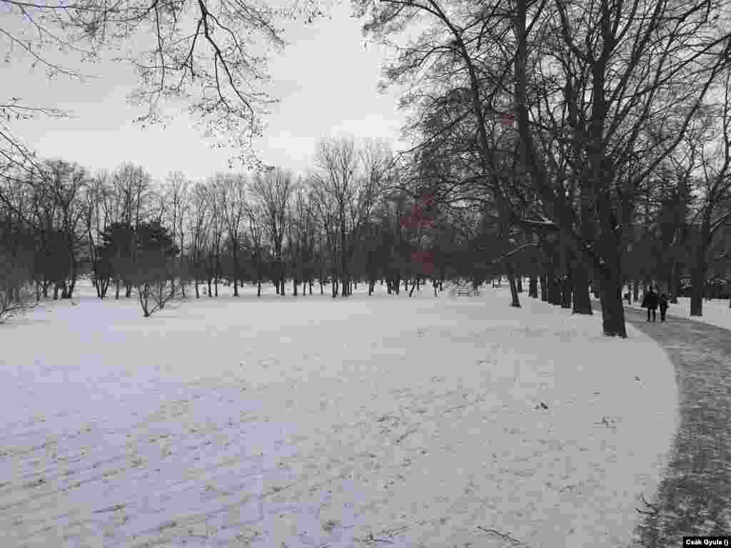 Ha kicsit beljebb merészkedünk a városba, akkor érdemes elmenni a Letna Parkba, ami az egyik legszebb és leginkább közkedvelt park a városban.