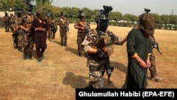 Afghan security officers present suspected militants after their arrest in Jalalabad on November 11.