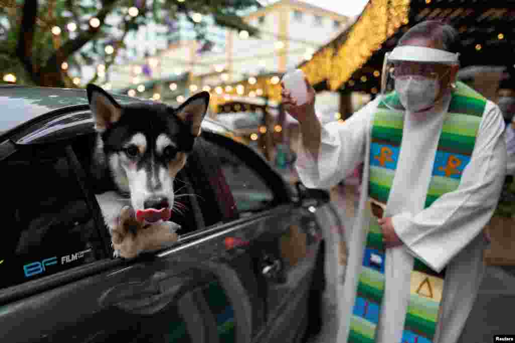 Собака із зацікавленням дивиться на фотографа, а доти священник благословляє його та іншого чотирилапого друга свяченою водою. Кесон-Сіті, Філіппіни, 3 жовтня, 2021 року