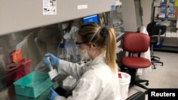 Koronavírus elleni oltáson dolgoznak a Pfizer egyik New York állambeli laboratóriumában, Pearl Riverben, 2020. május 5-én.