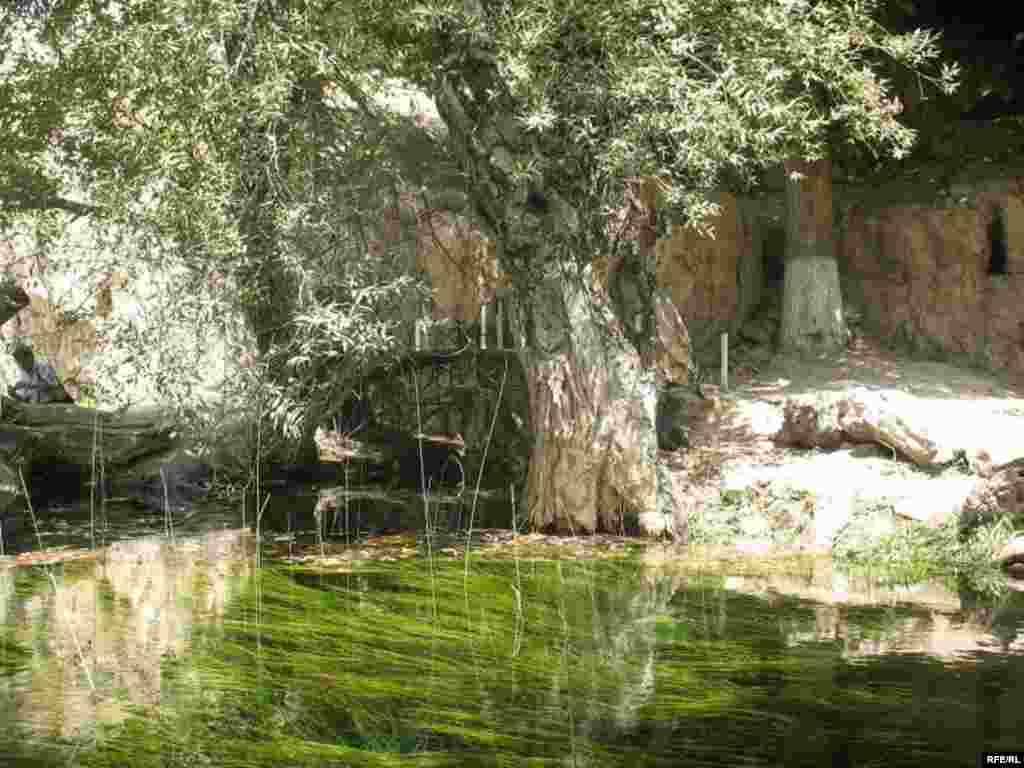 Зиёрати Чилучорчашма #24