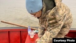 Айым Дүйсен исследует причины массовой гибели тюленей в Каспийском море