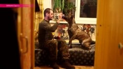 Як Адэса выратавала сабаку салдата-добраахвотніка