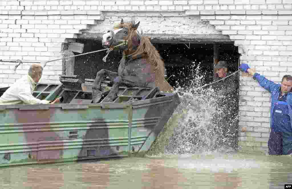 Farmers help a horse to jump into an amphibious vehicle to escape flooding in the village of Juliszew in central Poland. At least 15 people have died as a result of severe floods in Poland in recent days. Photo by Janek Skarzynski for AFP