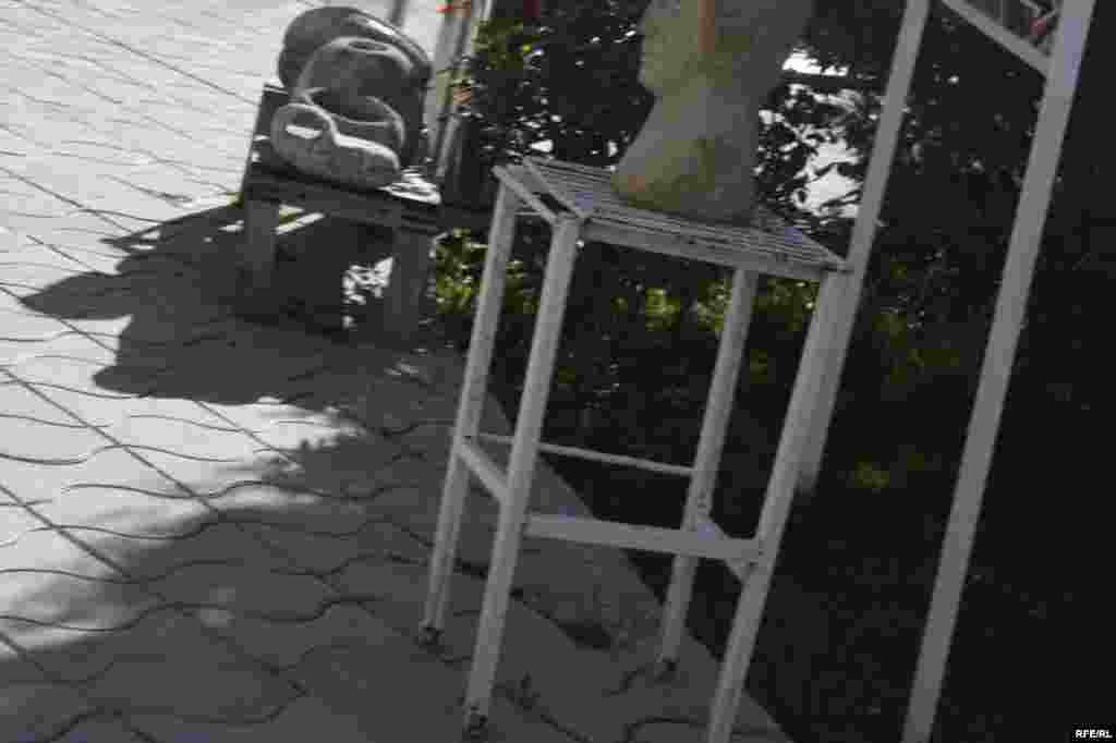 Сайре дар осорхонаҳои кишвар #35