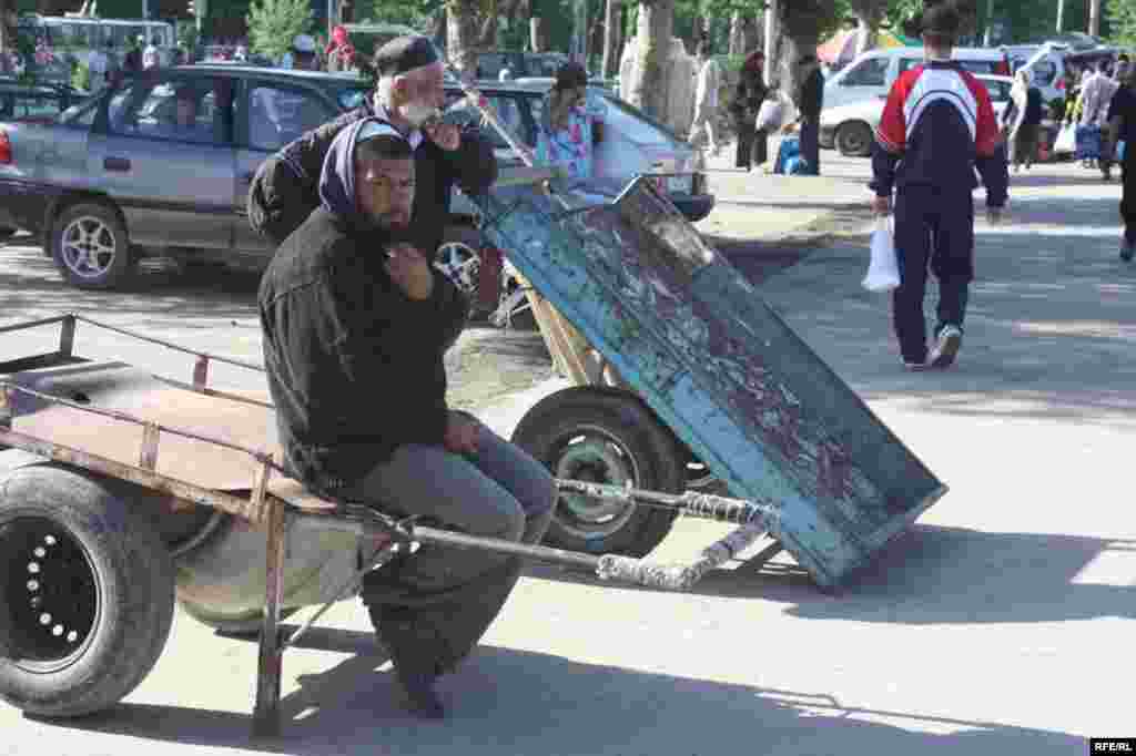 Дар орзуи арзонӣ #14