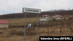 Radiografie de sat moldovean: Cărpineni