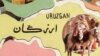 اردوی امریکا: در ارزگان حمله هوایی را انجام داده‌ایم