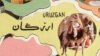 وزارت داخله: تحقیقات در مورد حمله هوایی در ارزگان آغاز شد