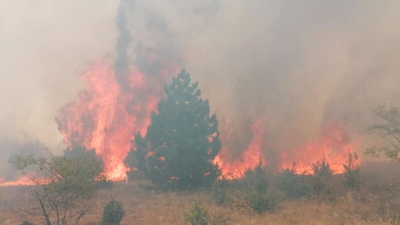Во пожарите летоска изгореле 38 милиони евра шума