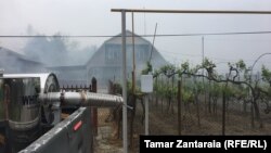  На борьбу с вредителем правительство выделило в этом году 16,7 млн долларов