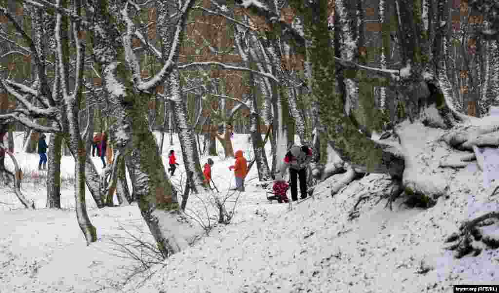 За большим снегом взрослые с детьми поднимались по склонам все выше