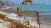 ENVIRONMENT-CARIBBEAN/SEAWEED