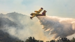 Požare ne zanimaju obećanja – gdje su Air traktori i Zakon o šumama FBiH?