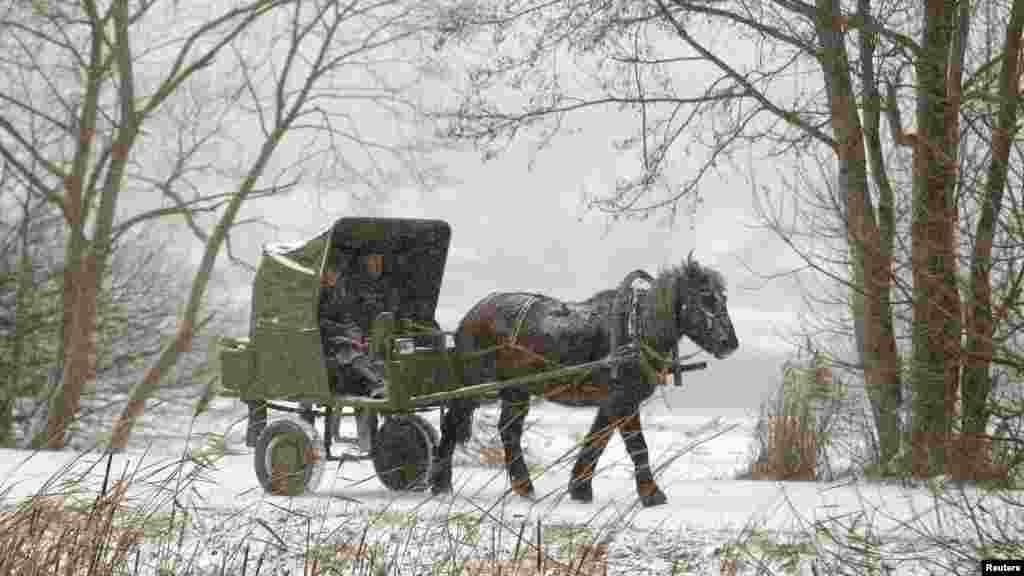 Belorus, Petravinka kəndi. 5 dekabr 2012