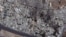 A satellite image shows a general view of the Qabun neighborhood in Damascus on July 18.
