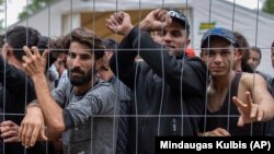 مهاجران در لیتوانیا