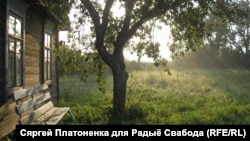 Раніца у вёсцы Старая Мыш / Аўтар Сяргей Платоненка 