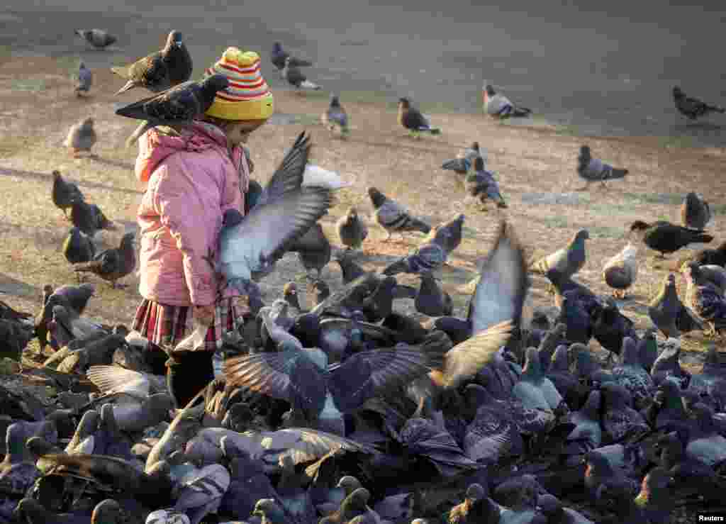 A girl feeds pigeons in a park in Almaty, Kazakhstan. (Reuters/Shamil Zhumatov)