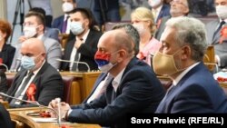 Milan Knežević, iz Demokratskog fronta, imenovan je za predsjednika Odbora za bezbjednost i odbranu