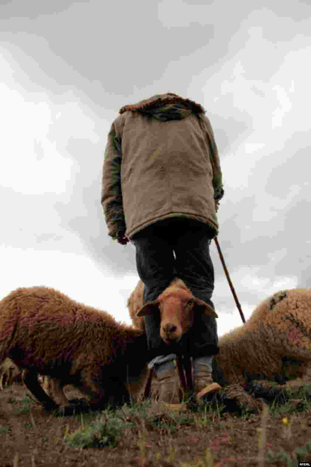 Кавказ тауларындагы борынгы Хыналык авылы #29