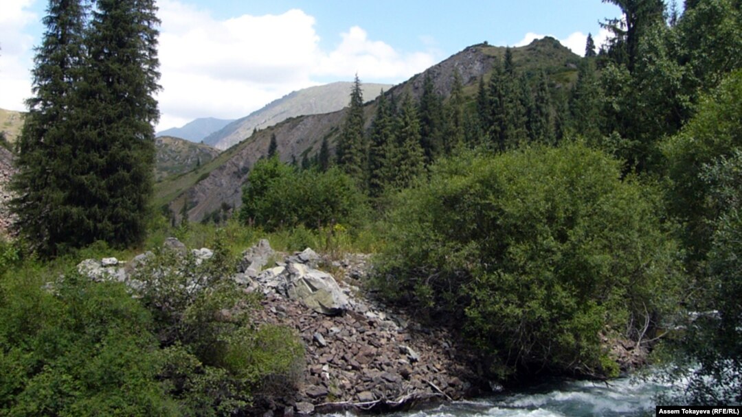 Әйелі доптары бар мүшесін сорып жатыр