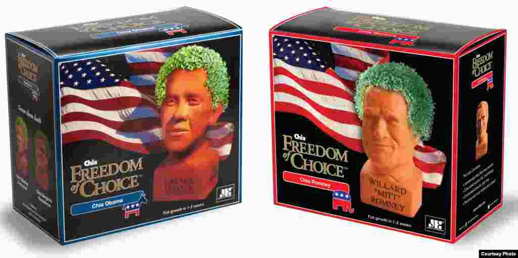 Obama and Romney Chia Pets