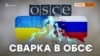 Росіяни чи українці – хто представляв Крим на ОБСЄ?