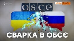 Росіяни чи українці – хто представляв Крим на ОБСЄ?