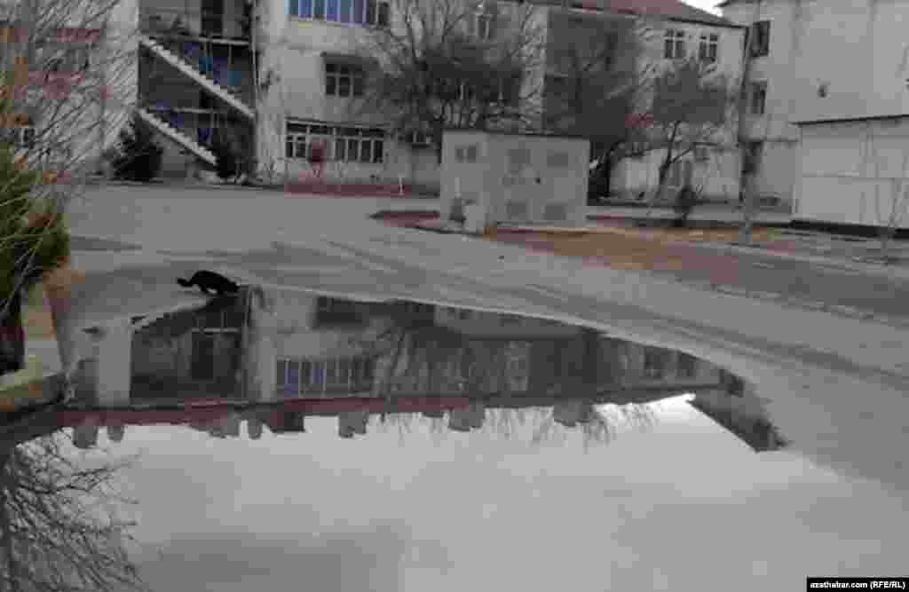 Aşgabat, mart, 2021