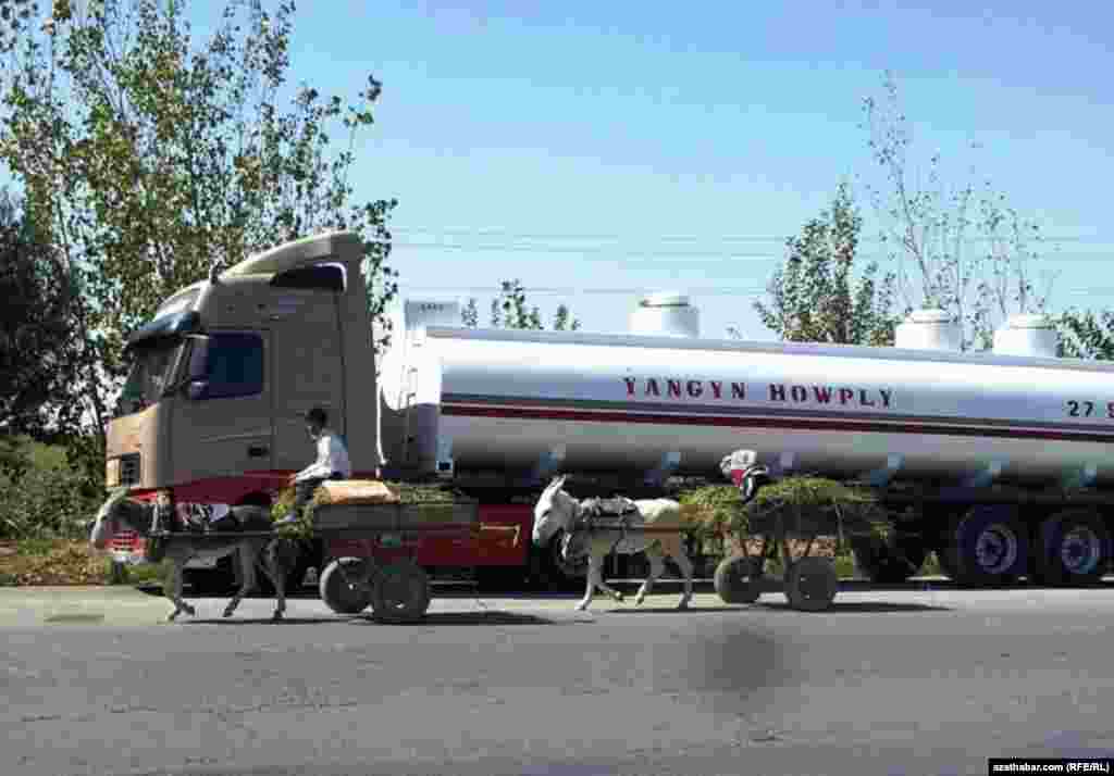 Arabaly eşekler ýük ulagynyň deňinden geçip barýarlar