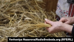 Волонтери в’яжуть двометровий дідух