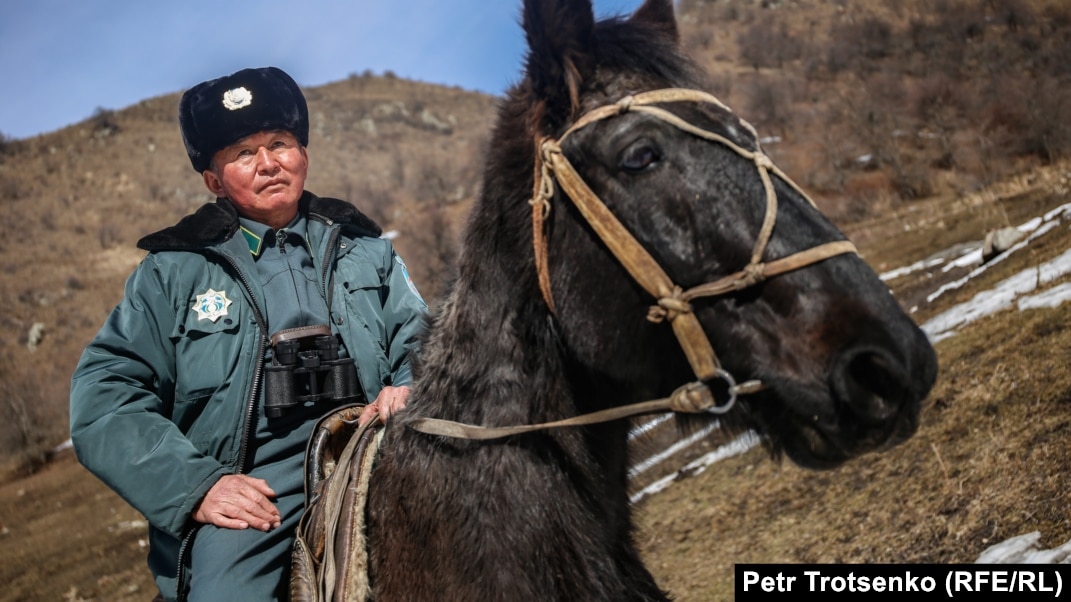 Интернетте ескі және жас порно видеоларды қараңыз