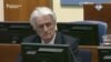 Karadzic Sentenced To 40 Years