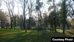 Zemunski park koji potražuju potomci Milana Nedića