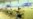 Iran To Stage Missile War Games