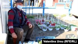 Vânzător de flori la Drochia