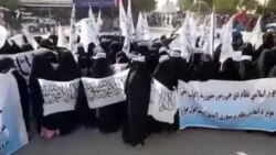 Демонстрації афганських жінок за і проти «Талібану» (відео)