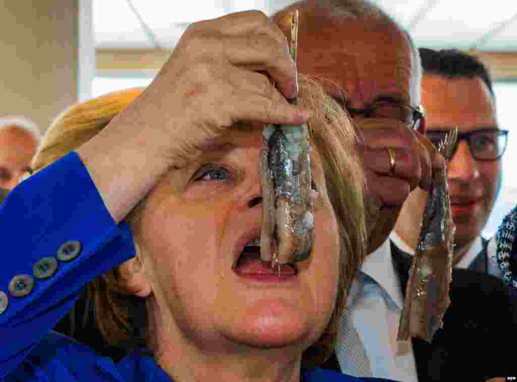 German Chancellor Angela Merkel eats a salted herring during the christening ceremony for a new fishing trawler in&nbsp;Sassnitz. (epa/Jens Buettner)