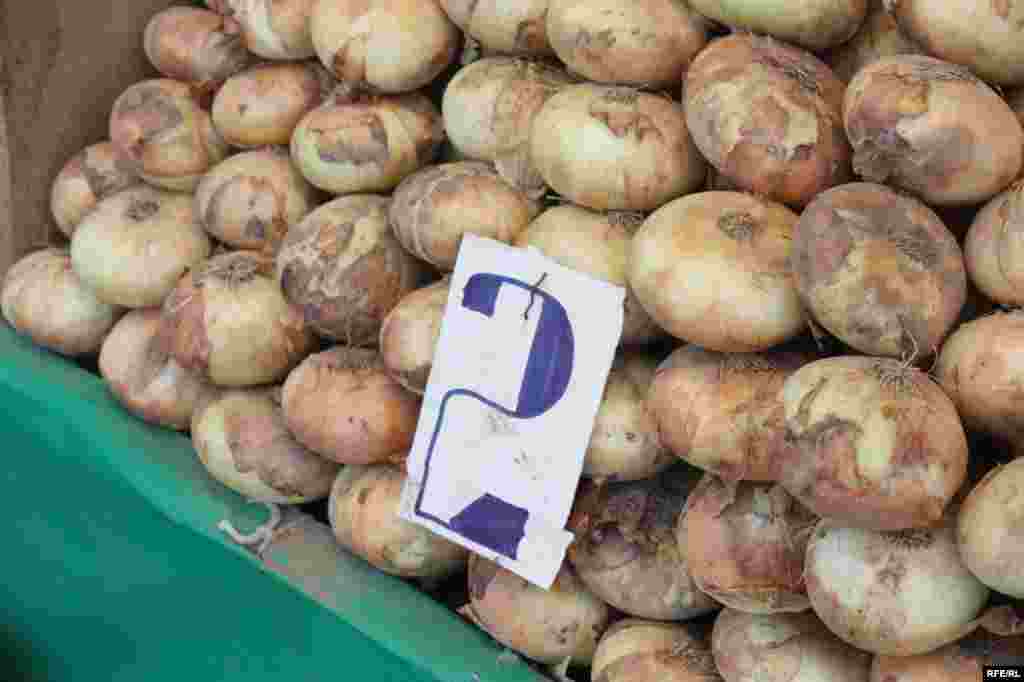 Дар орзуи арзонӣ #110