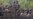 Pakistani Court Orders Militant Cleric Released