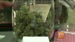 Легализации «травы» в Вашингтоне не будет