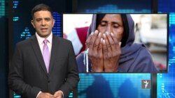 مهمترینهای جهان در ستودیوی آزادی