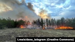 Пожежі гасять у Рівненський, Житомирській, Київській і Чернігівській областях