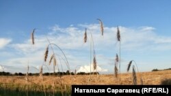 Вёска Дубнікі, Любанскі р-н. Фота: Натальля Сарагавец