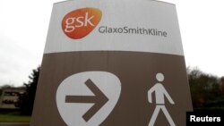 Logo GlaxoSmithKline (GSK) u istraživačkom centru GSK u Stevenageu, Velika Britanija, fotoarhiv 