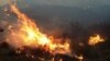 Сибирь: Гринпис требует от властей принять меры для тушения пожаров